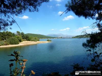 Jarosa - Agua y Bosque Plateado; montañismo madrid;senderismo guadarrama;viajes fines de semana